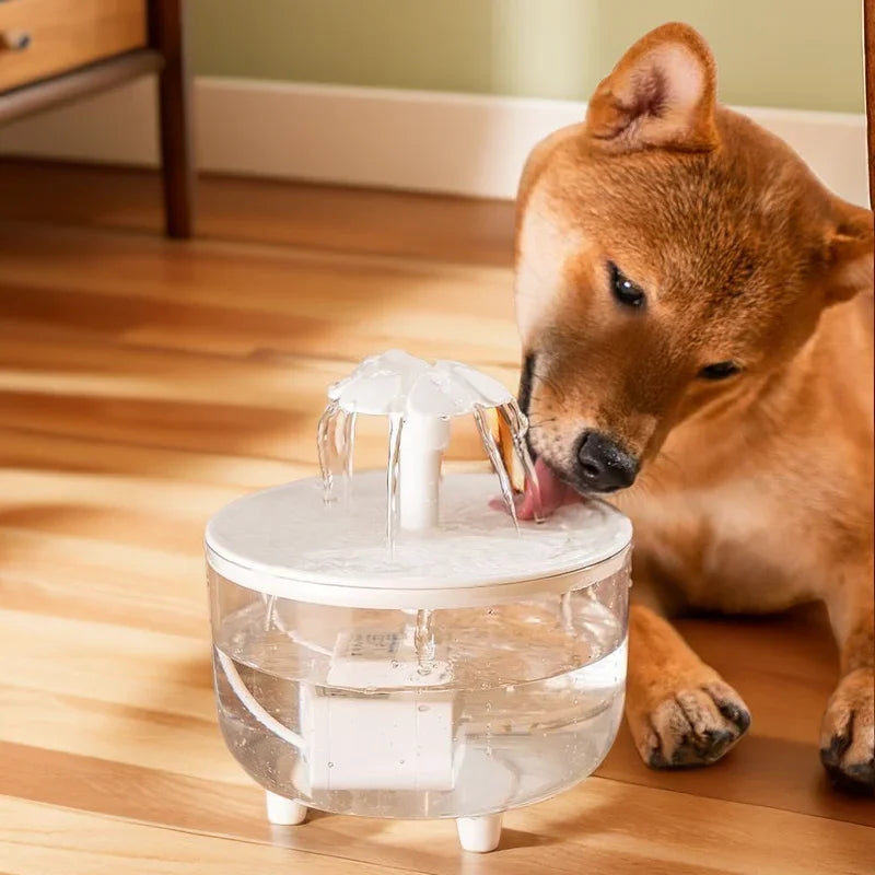 SAENGUE™ Pet Water Fountain